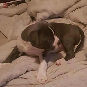 Meet your Posher, Richart